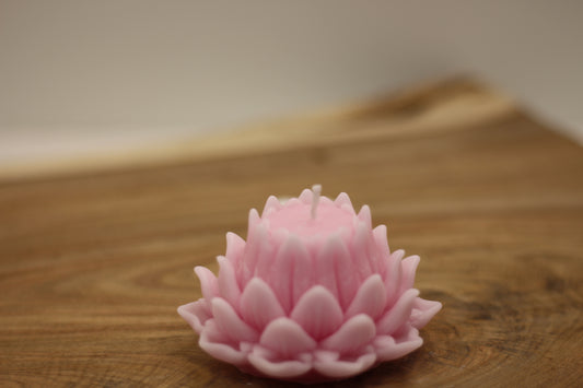 Single Closed Lotus