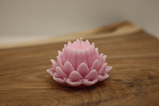 Single Closed Lotus