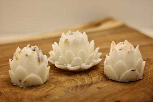 Peony Collection