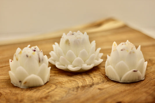Peony Collection