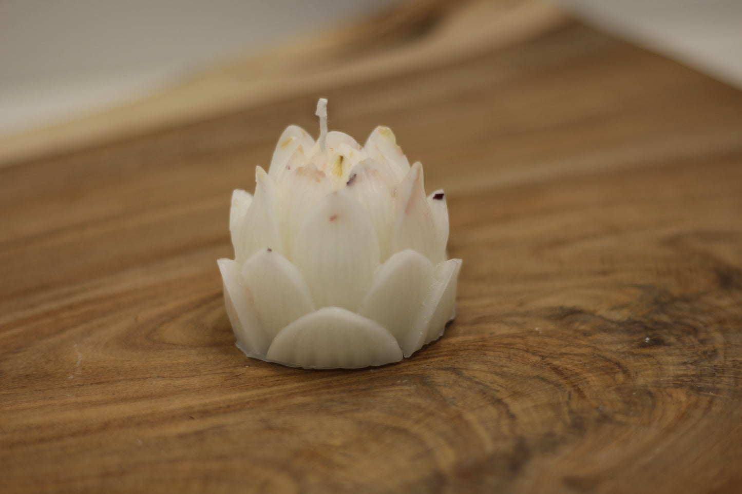 Single Closed Lotus