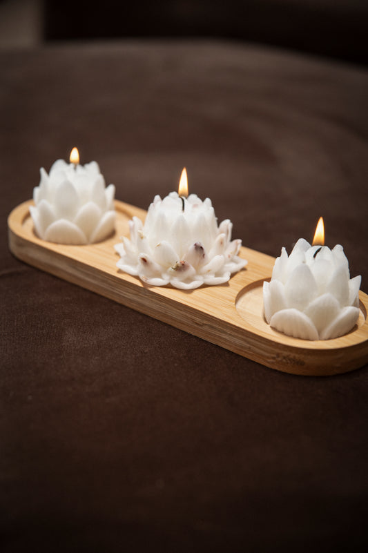 Lotus Collection