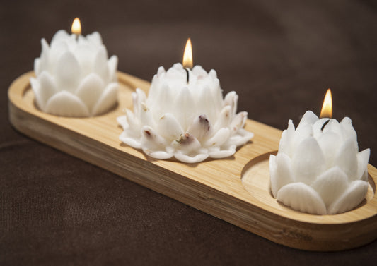 Lotus Collection