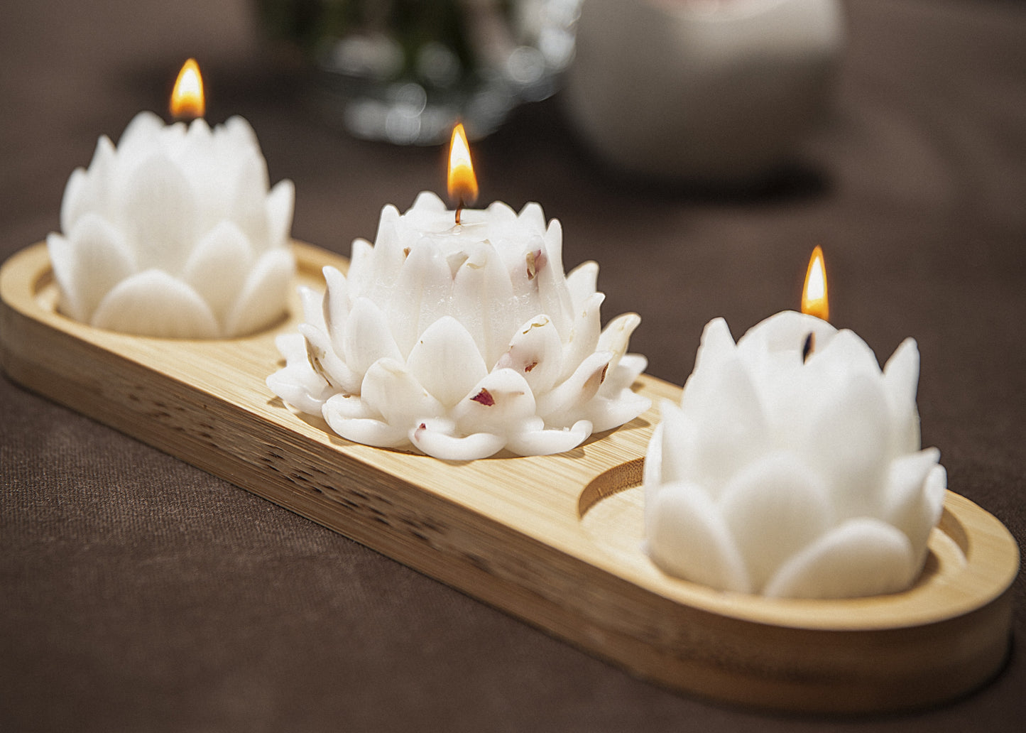 Lotus Collection