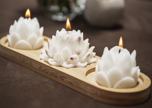 Lotus Collection